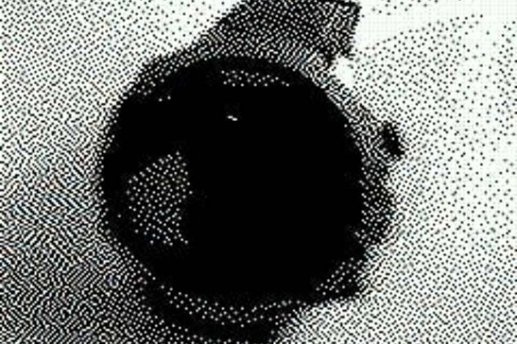 Some Images captured using Memento-flex